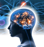 Screen Shot 2015-05-02 at 10.22.16 AM